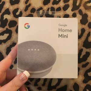 Google home mini